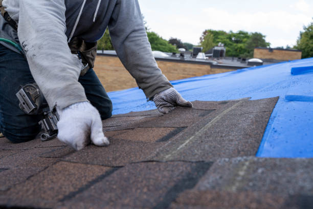 Best Roof Insulation Installation  in South Amherst, OH