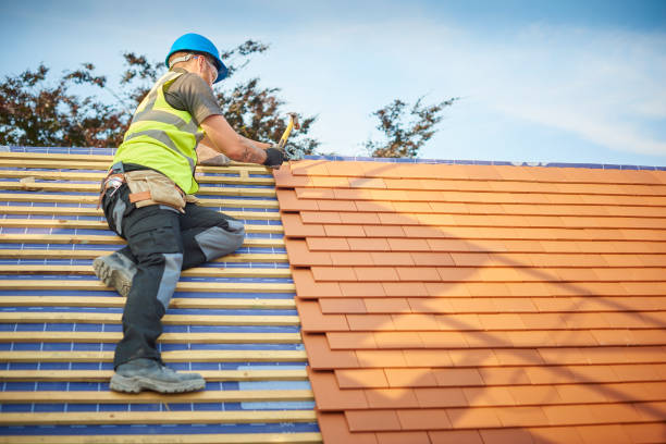 Best Roof Leak Repair  in South Amherst, OH
